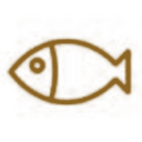 Carta 5 Pescado