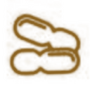 Carta 6 Cacahuetes