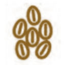 Carta 11 Sésamo